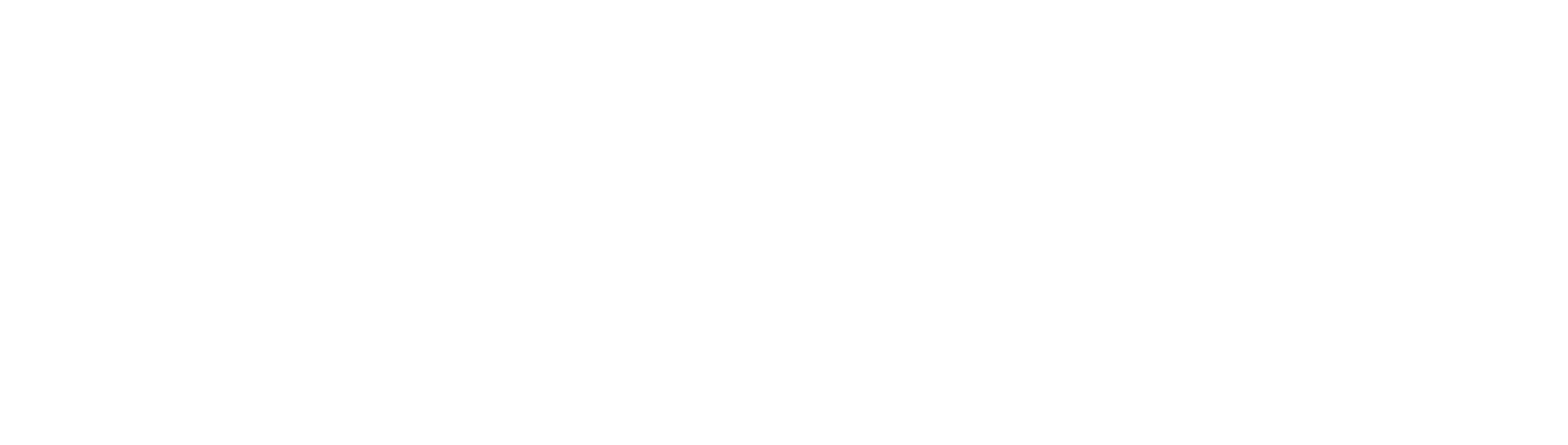 ZARA COLORIST