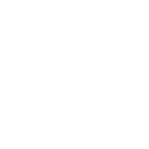 L ZOLOTO